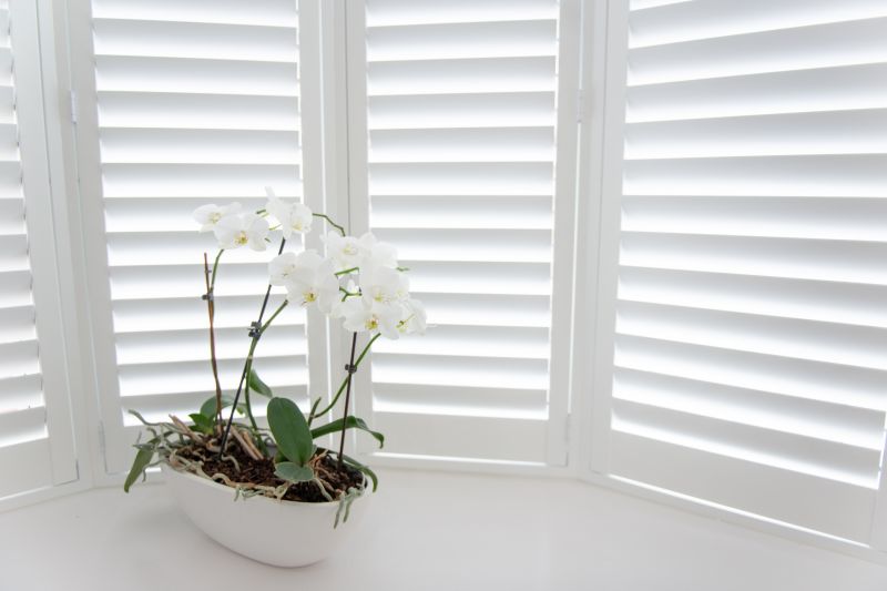 Shutters Replacement in Midlothian, VA