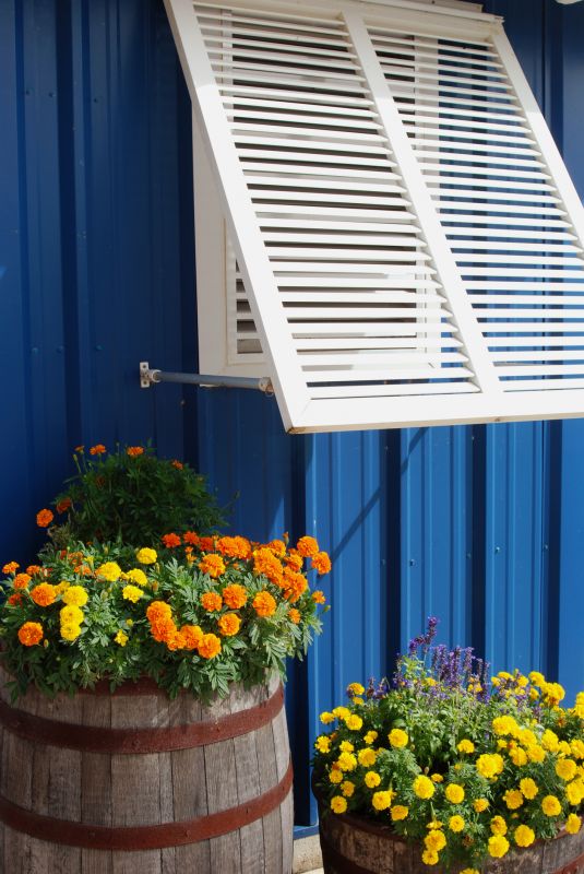 Window Shutters Replacement in Littleton, CO